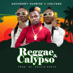 Reggae & calypso feat ivoltage