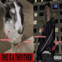 SHOTCALLERRR [prod. alottadogs]