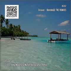 Gruuve - Blondie&D (Cross Remix)