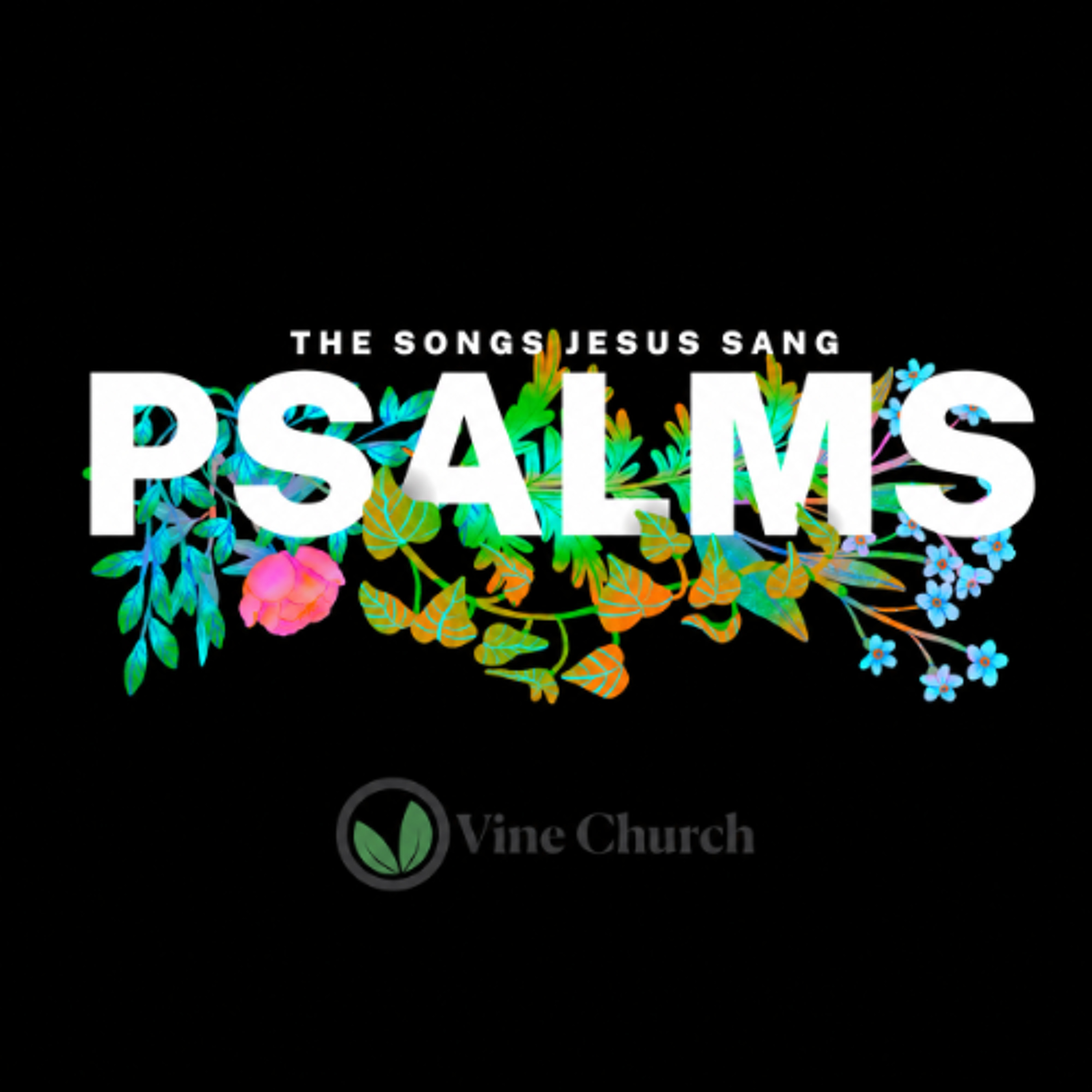 The Vine Church Hart Podcast