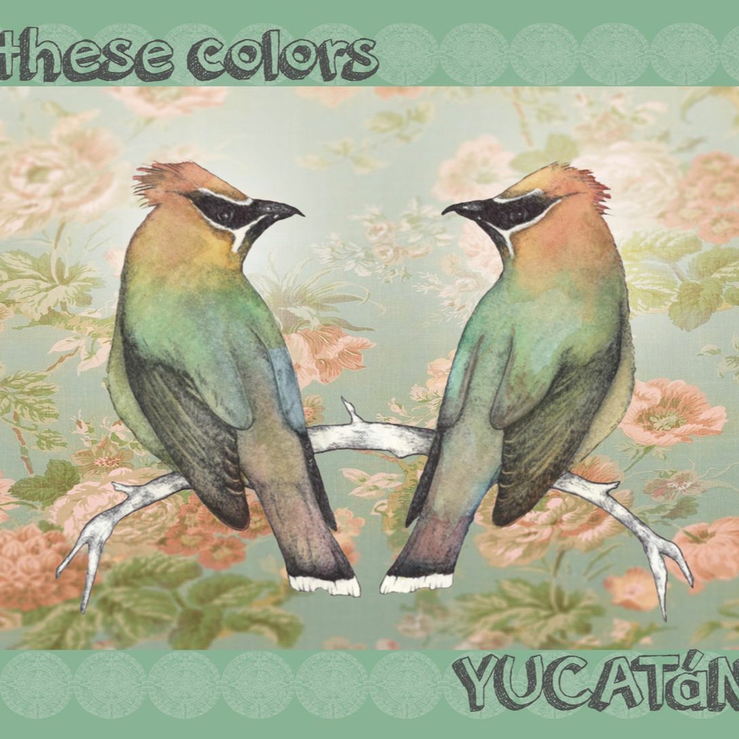 thesecolorsband