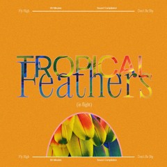 tropical feathers (in flight)