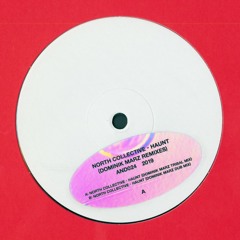 Haunt (Dominik Marz Tribal Remix)