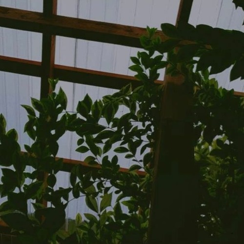 Desdén E Insomnio (Prod. lemonghask)