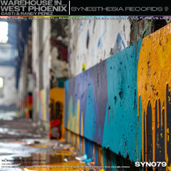 Casti & Randy Perez - Warehouse in West Phoenix (VULTURE vs LION Remix) [SYN079]