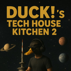 DUCK!`s TECH HOUSE KITCHEN 2