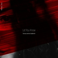 Yunus Emre Özdemir - Let You Know