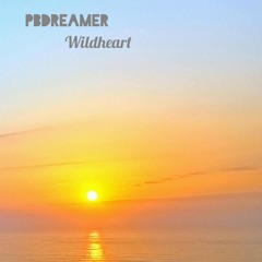 Dj PBdreamer-Wildheart