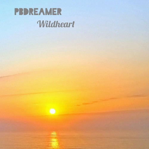 Dj PBdreamer-Wildheart