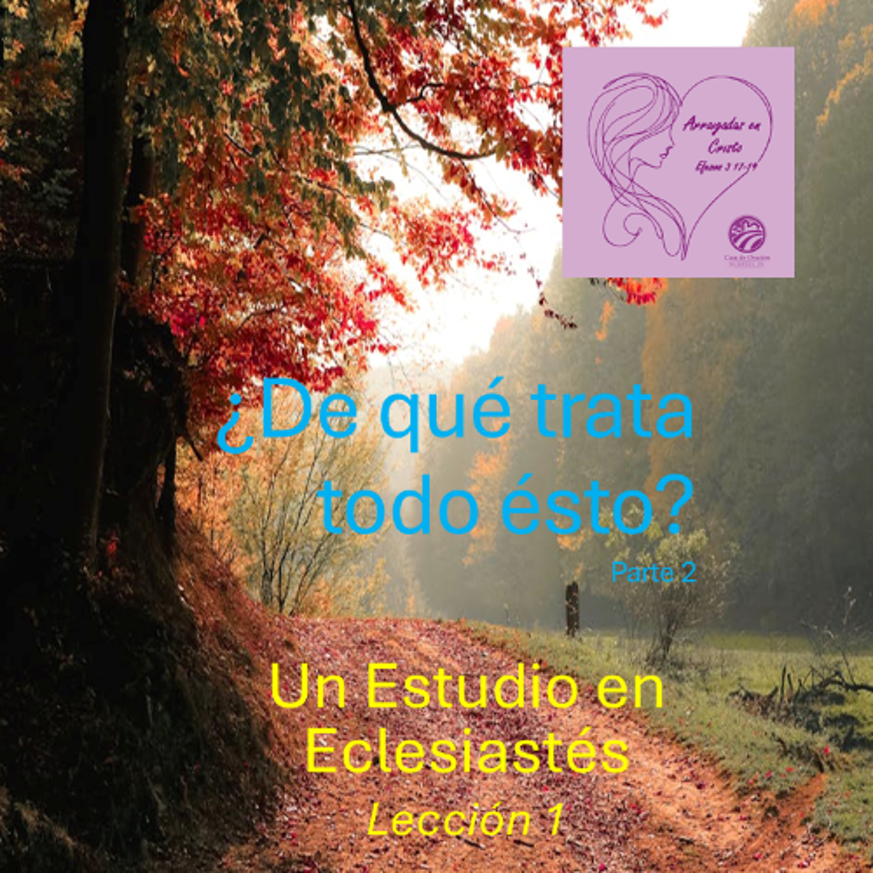 04 | Con la vista en la Eternidad | ¿De qué trata todo ésto? parte 2 | 10/11/24 episode artwork