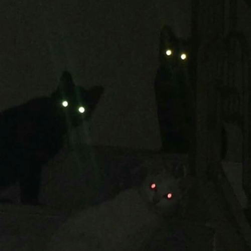 If You Think Im Pretty