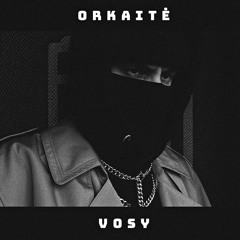 ORKAITĖ Podcast #40 - VOSY