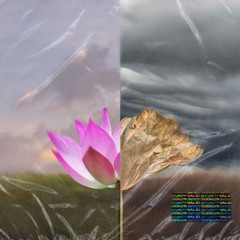 Realness (prod. Timeless Era Beats)