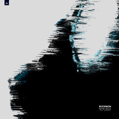 E2NMN - Stolen Choices [VOID007]