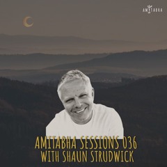 AMITABHA SESSIONS 036 with Shaun Strudwick