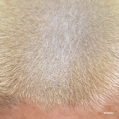 Barnt - This Is For Decor Only