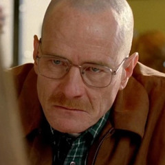 What would you know, about me? - Walter White
