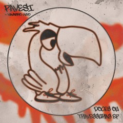 PREMIERE: PAVESI - She Say Love [Parrots Records]