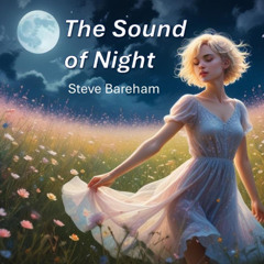 The Sound of Night