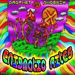 Enigmatic Rites - Prophet Phoenix