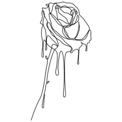 I. O Rose