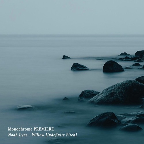 𝐏𝐑𝐄𝐌𝐈𝐄𝐑𝐄 : Noah Lyas - Willow [Indefinite Pitch]