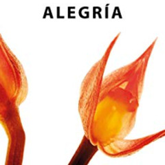 Yasmin Levy - La alegria (Armstyle Remix)