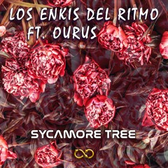 Sycamore Tree - Los Enkis Del Ritmo (ft. Ourus)