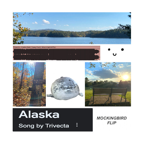 Alaska (feat. Casey Cook) [Mockingbird Flip]