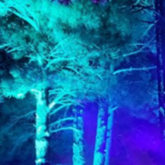 Deep in the jungle mix [DnB] [Jungle]