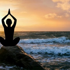 La Planification De Saison