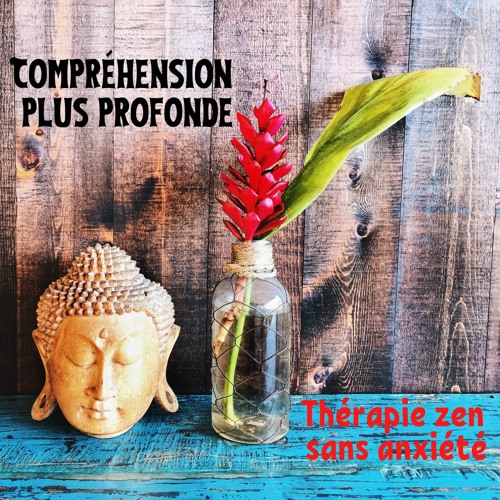 Serenite Apaisante By Ensemble De Musique Zen Relaxante Serenite Apaisante By Ensemble De Musique Zen Relaxante
