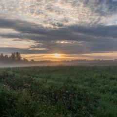 Who you were (Before you were you)