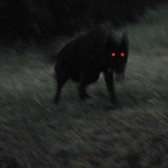 WELCOME 2 HELL