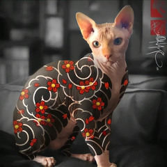 out dont cha-linhnhat