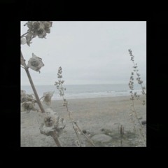 Seeing Through With It (Prod. Zzboyy!)