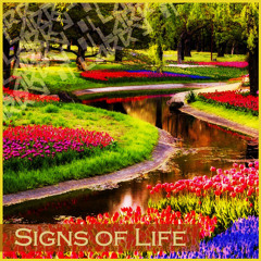 Larry J - Signs Of Life (Mini Mix)