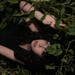 set those swords upright