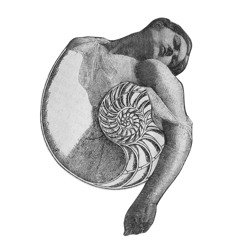 På Skammens Skuldre