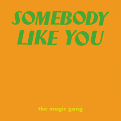 Somebody Like You