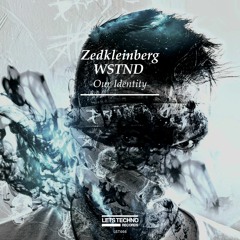 Zedkleinberg, WSTND - We Are Stoned (Original Mix)