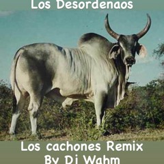 Los Desordenaos - Los Cachones Remix By Wahm