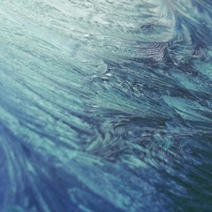 Champignons - Le Fruit du Verger