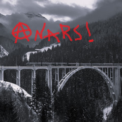 ANARS ! Pourquoi