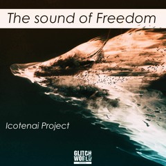 Icotenai Project - The Sound Of Freedom (Original Mix)