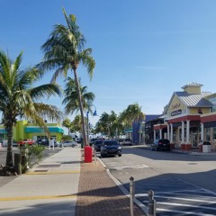 Street Jungle