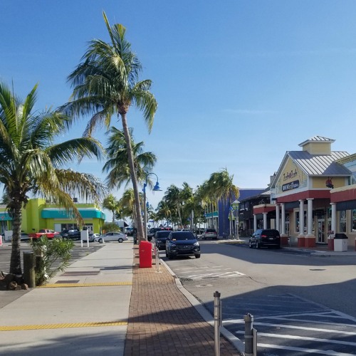 Street Jungle