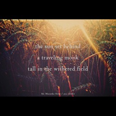 A monk in a withered field [naviarhaiku322]