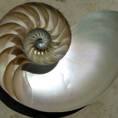 ThePearl