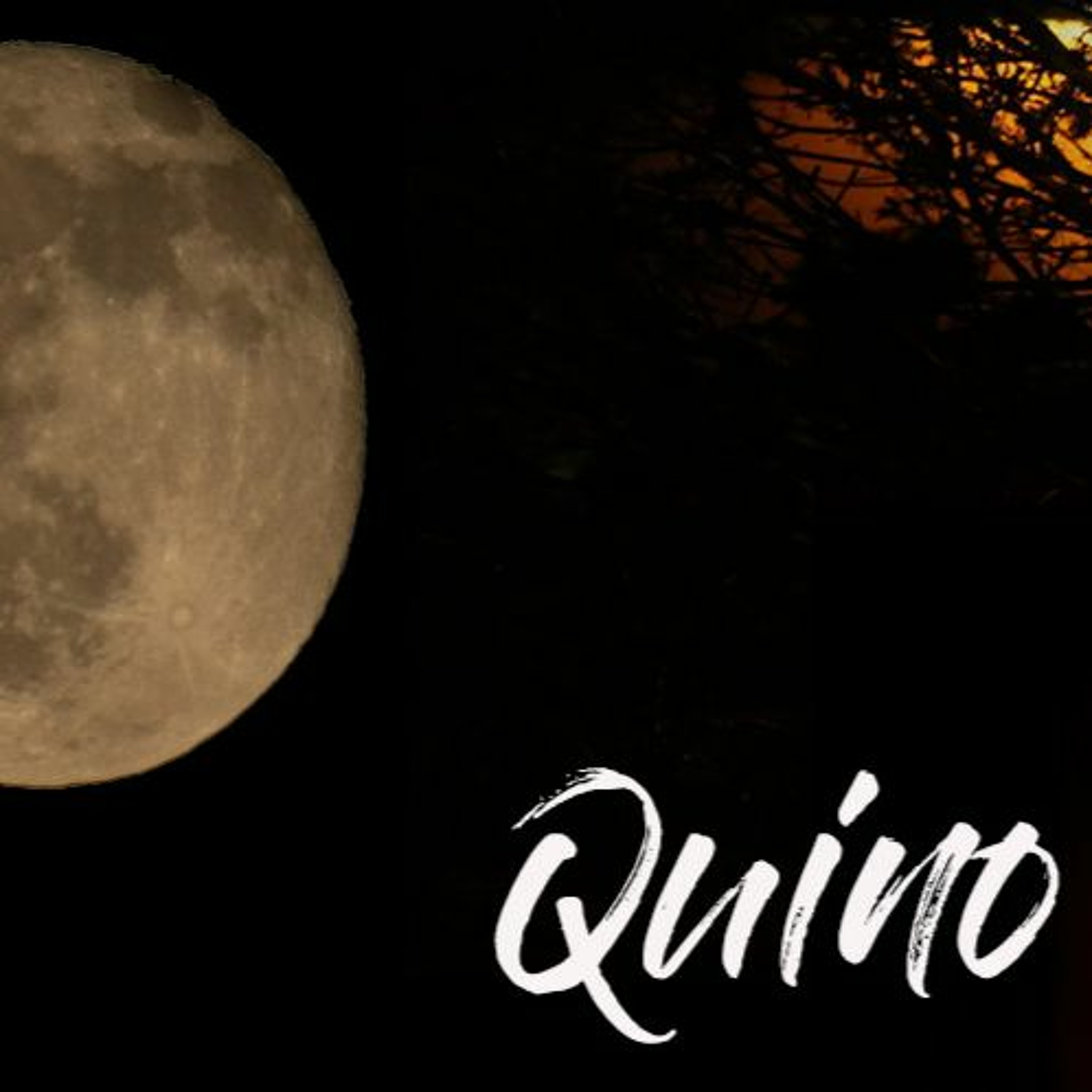 Patrice Quino
